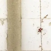soraの画像
