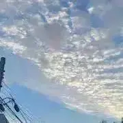 5 ・入手困難アイテム多