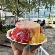 まりんの画像