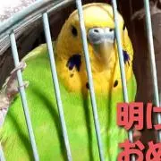 ひーくんの画像