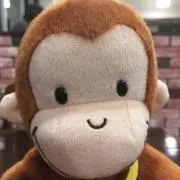 アイアイの画像