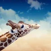 kirin*の画像