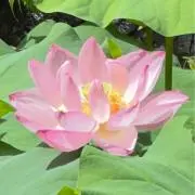 ⚠️プロフ必読⚠️の画像