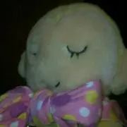 さくら☆プロフご一読お願いします♡の画像