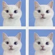 明日から26連勤の画像