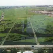 サントロペの画像