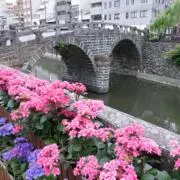 ぺこの画像