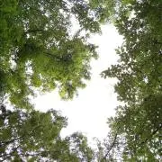 asamimの画像
