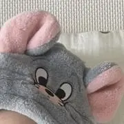 Tの画像