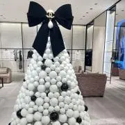 cocoの画像