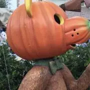 とんとん屋の画像