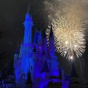 シーマの画像