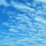 まるお