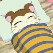 もちの画像