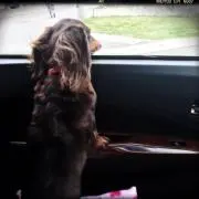 tatsu♡※プロフ必読※