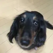 古刃剣の画像