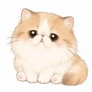 たぬこ《プロフ必読》