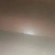チャッピーの画像