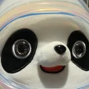 ぽこ☺︎の画像