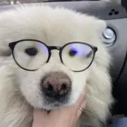 ふもふも