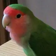 みど