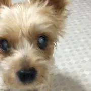 なりはな【即購入どうぞ!:)】の画像