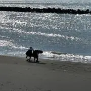 yoの画像