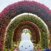 るーの画像