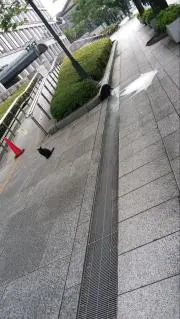 ionの画像