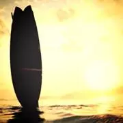 fin965の画像
