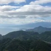 パグの画像