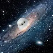 ぽんた14号の画像