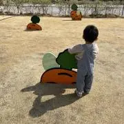 でちらの画像