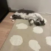 ミナ
