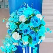 ほほかの画像