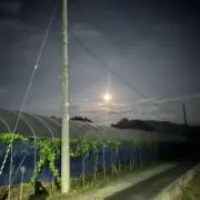 Dの画像