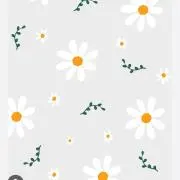 お値下げお断りします⭐️の画像