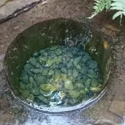太右衛門