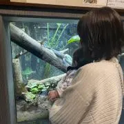 はるか断捨離中❣️コメントなし即購入⭕️の画像