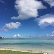 ☆白星☆の画像