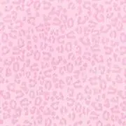 プリンの画像