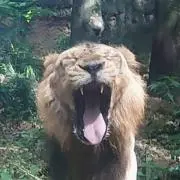たっつーの画像