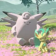 Raraの画像