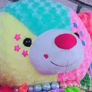 ぱくちゃの画像