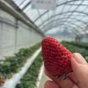 やあの画像