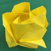 McKenzieの画像