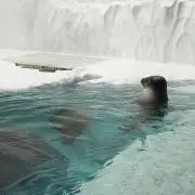 かなこの画像
