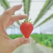 なみの画像