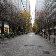 ゆうひの画像
