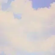 24の画像